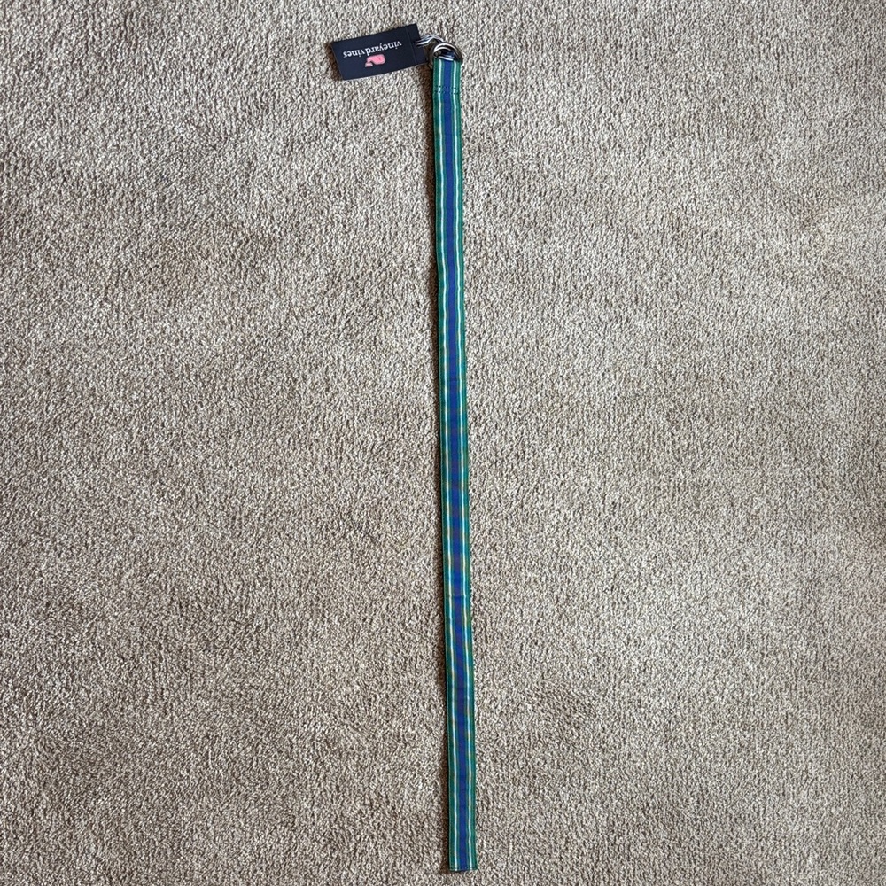 Green and Blue Striped Belt